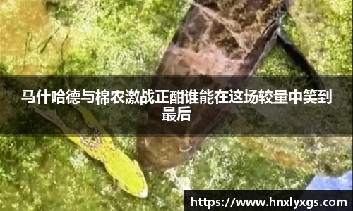 马什哈德与棉农激战正酣谁能在这场较量中笑到最后
